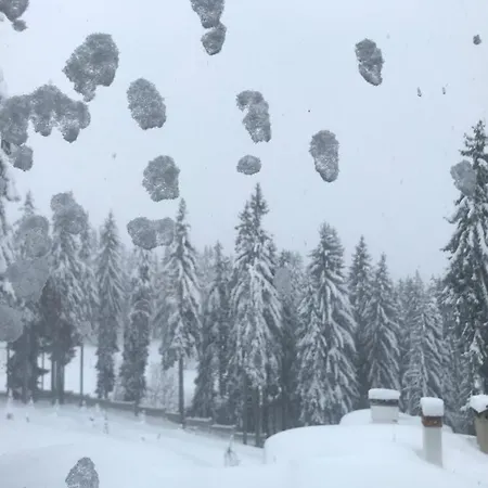 Cozy B35 In Grand Pamporovo