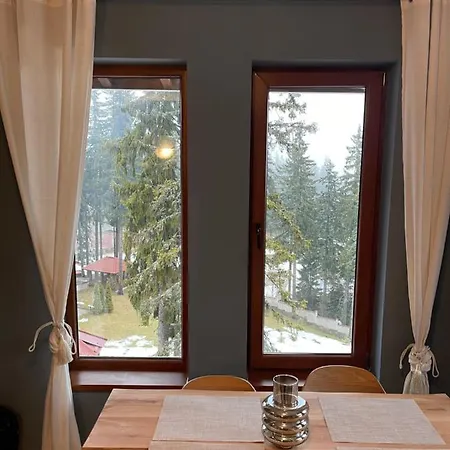 Cozy B35 In Grand Apartment Pamporovo